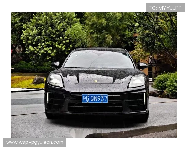 保时捷PG官网最新车型信息与购车指南全面解析