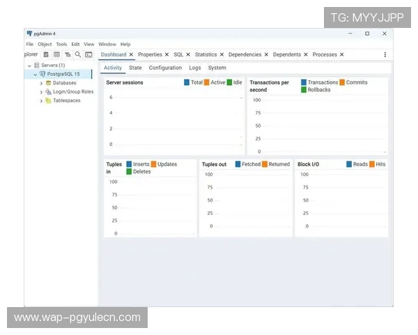如何快速高效地完成PostgreSQL数据库客户端的安装与配置指南