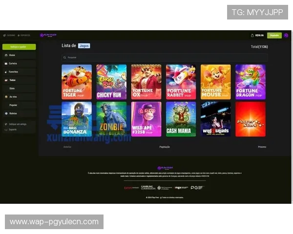 最稳pg旗舰电子客户端：保障资金安全的最佳选择与使用指南